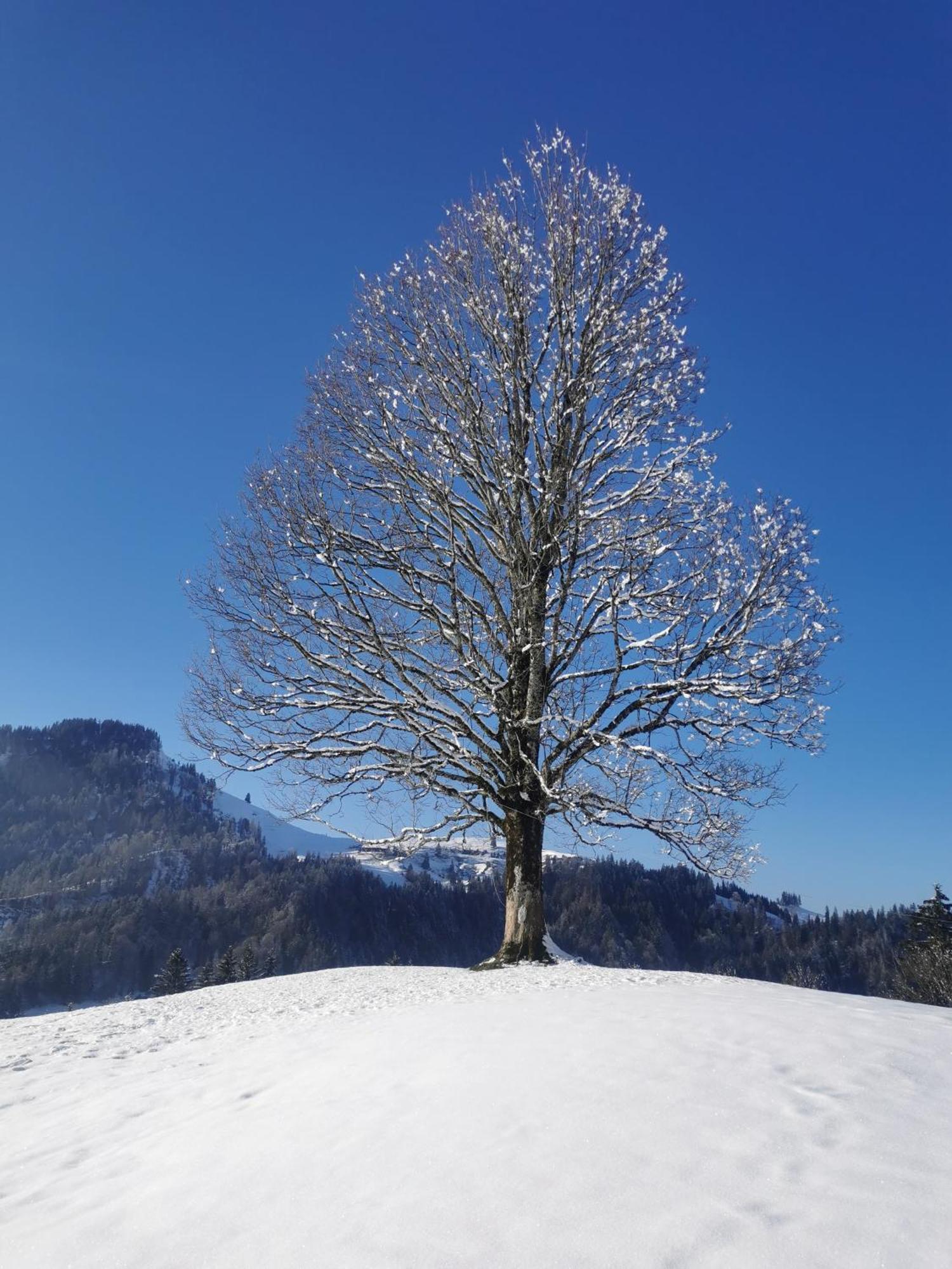Gasthof Kreuz Marbach Luaran gambar