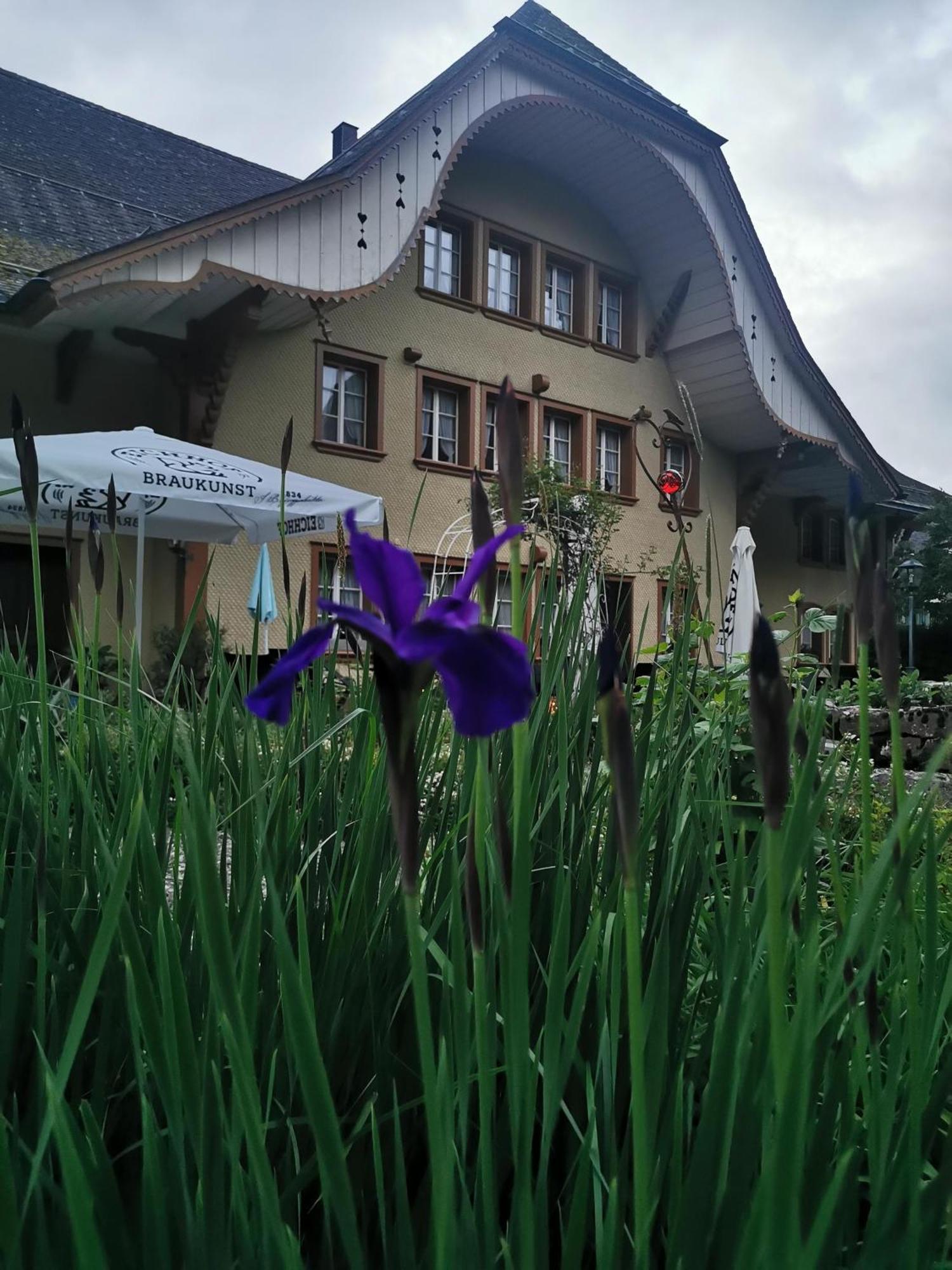 Gasthof Kreuz Marbach Luaran gambar
