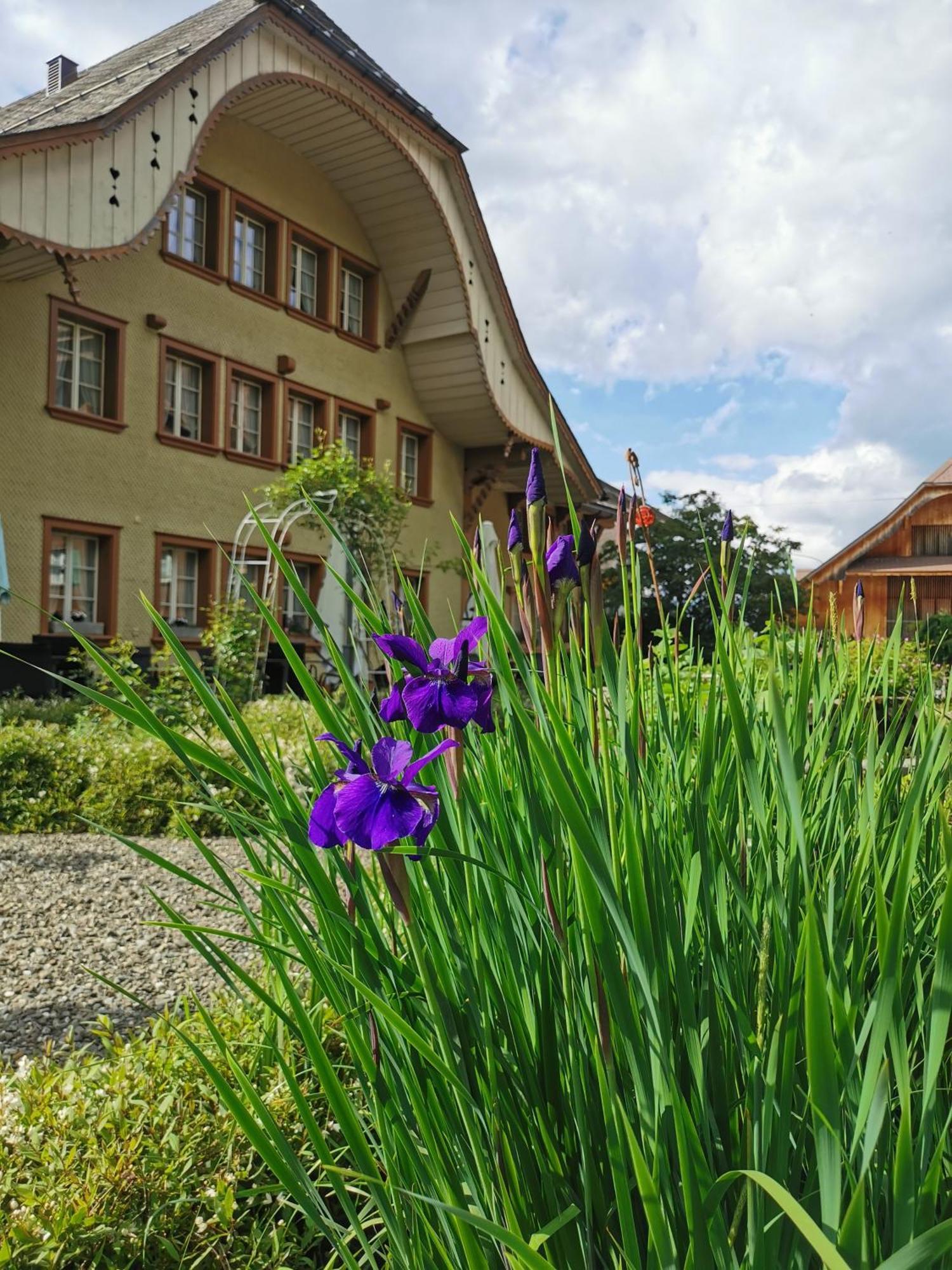 Gasthof Kreuz Marbach Luaran gambar
