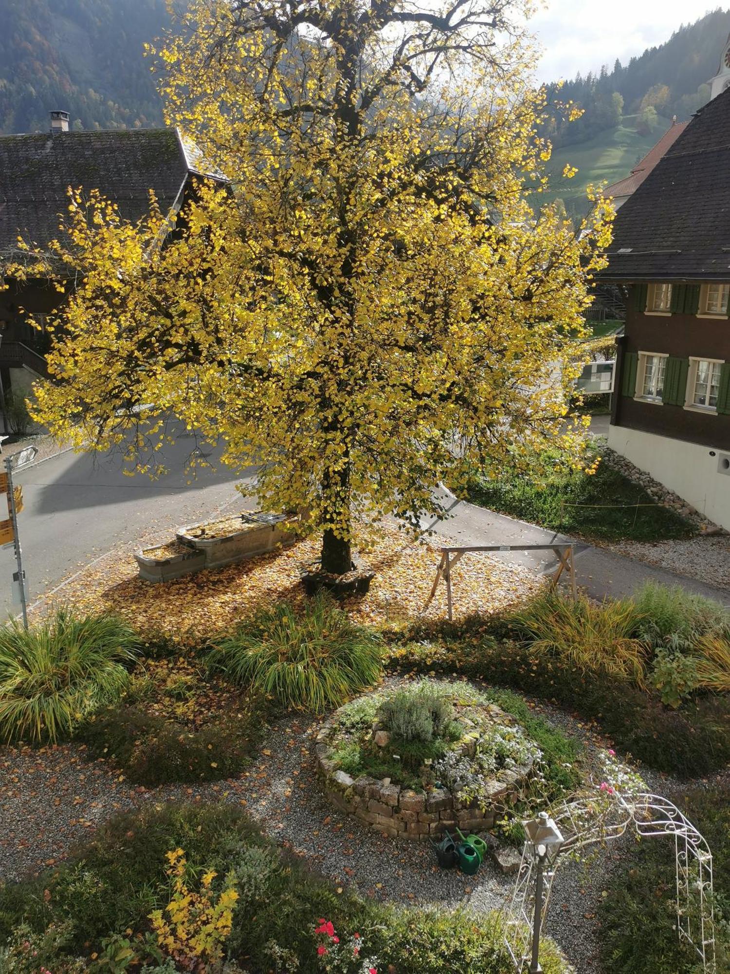 Gasthof Kreuz Marbach Luaran gambar
