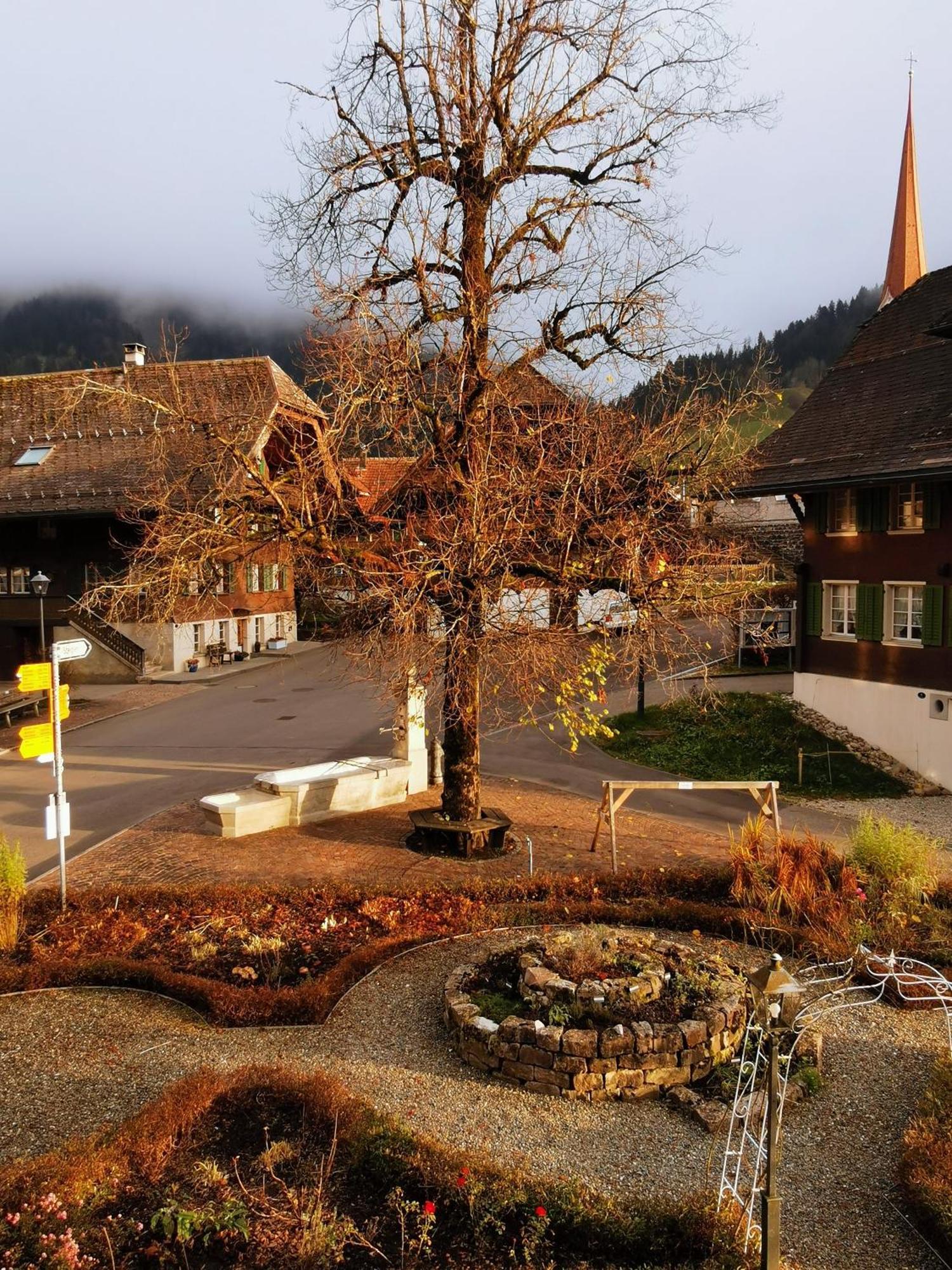 Gasthof Kreuz Marbach Luaran gambar
